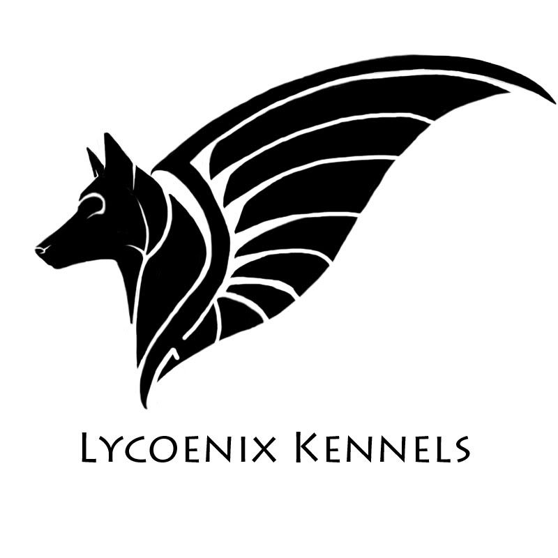 lycoenix.jpg