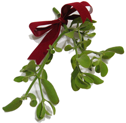 mistletoe_sample.png