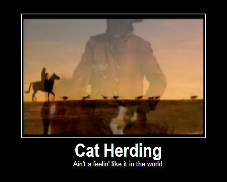 [Image: cat-herding.png]