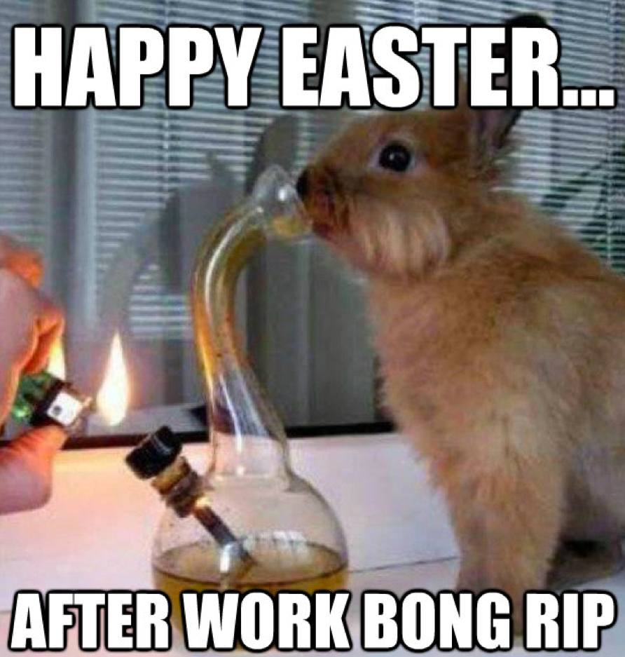 Easter Bunny Smoking Weed