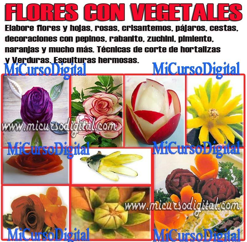 Cortes De Verduras Y Frutas Pdf