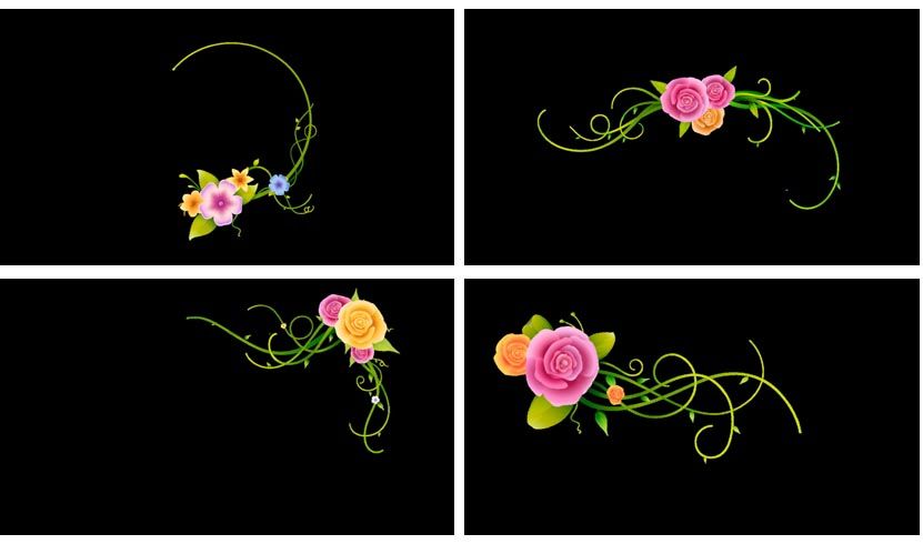 backgrounds Edicion Video Backgrounds Boda Quince