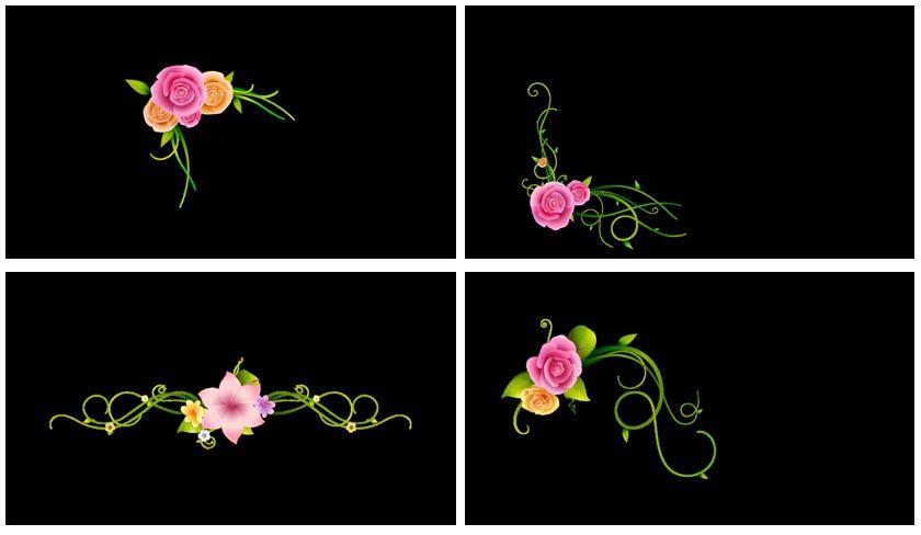 Floraciones Trellis Motion Hd Edicion Video Backgrounds Boda Quince
