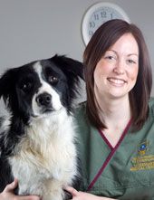 Example Image - 120 x 85 pixels