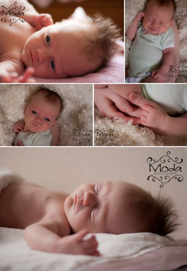 Utah Newborn Photographer