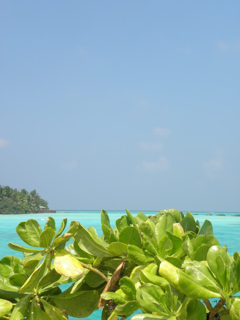 Malediivit2010553.jpg