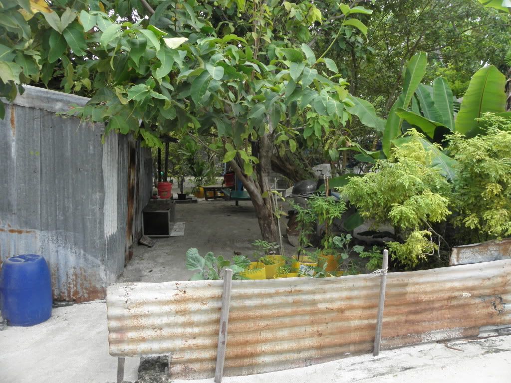 Malediivit2010628.jpg
