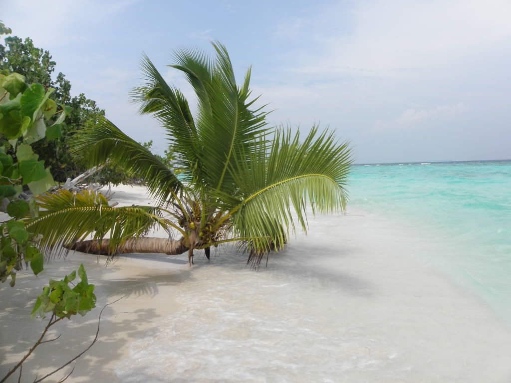 Malediivit2010747.jpg