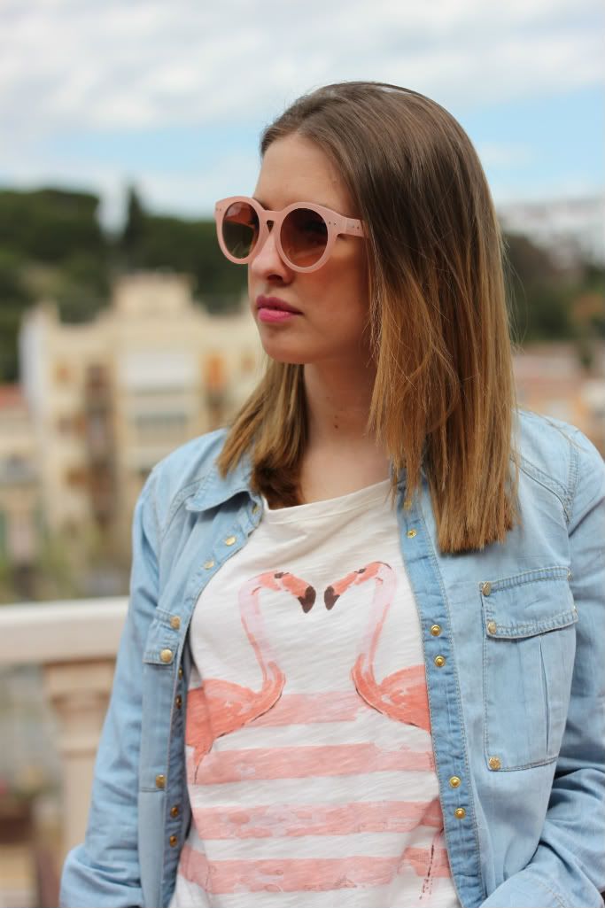 flamingos