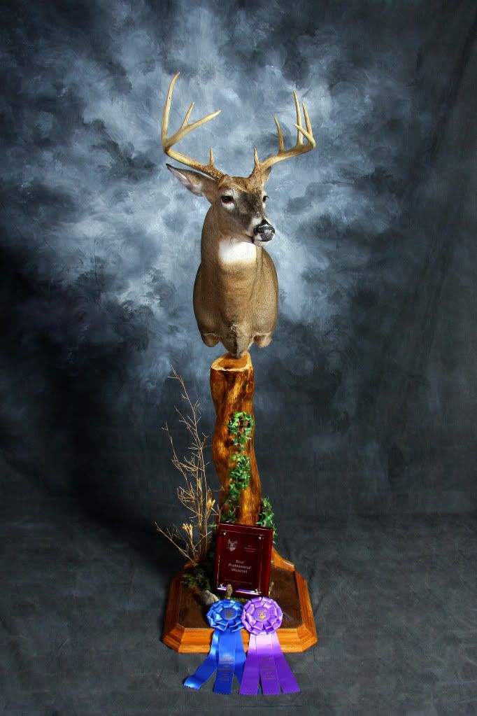 Watch out for Ohio Taxidermy Supply Forum