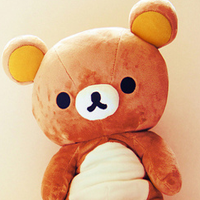 photo bear.png