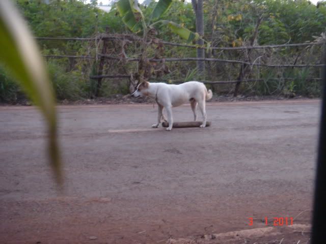 DSC08186.jpg