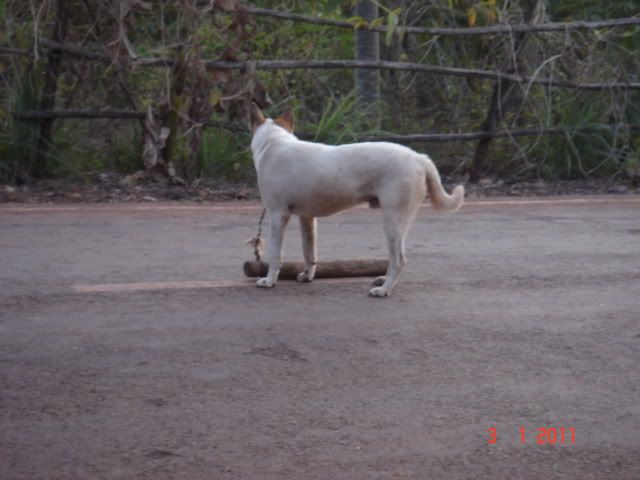 DSC08187.jpg