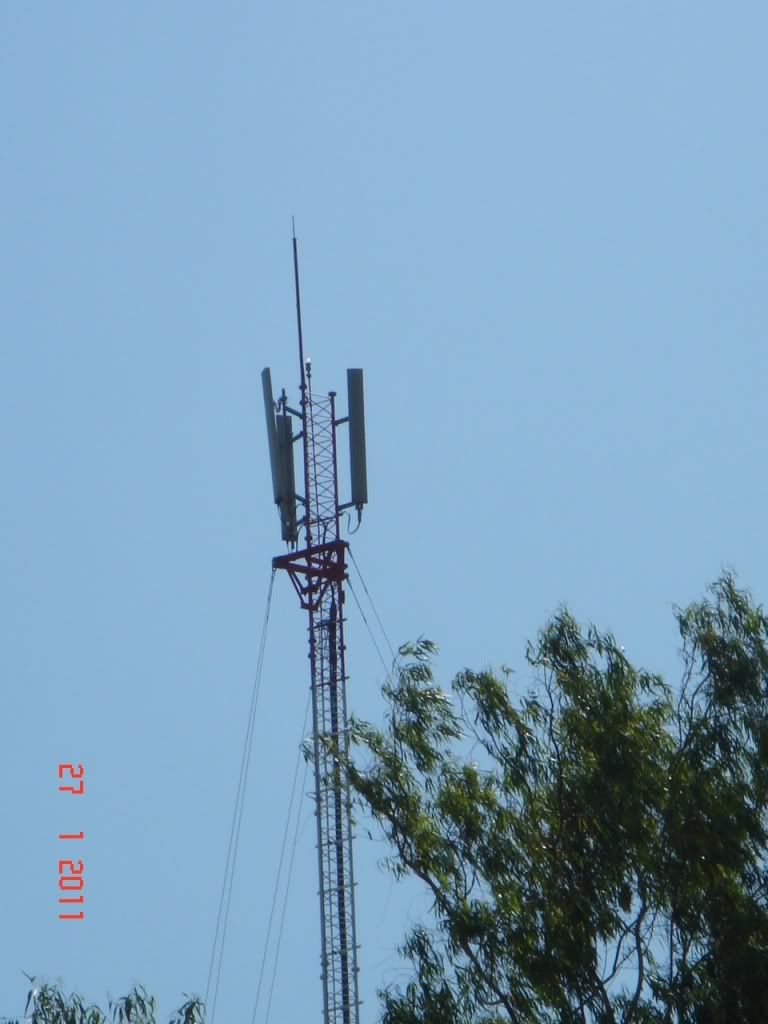 DSC08260.jpg