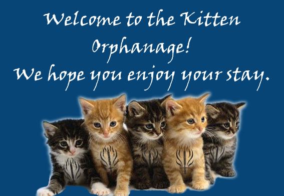 kitten-orphanage-welcome.png