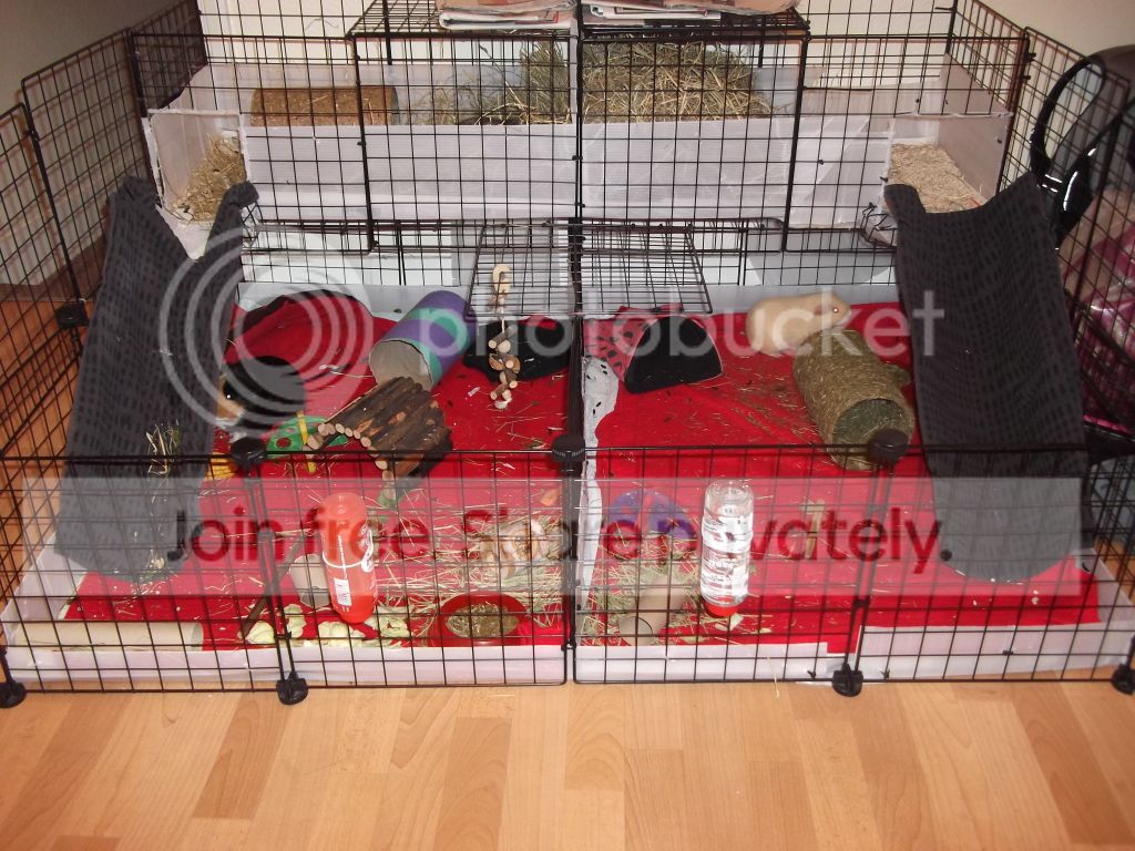 DSCF27541.jpg