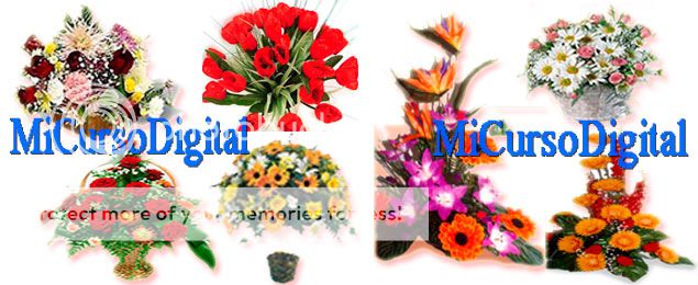 Curso de floristeria arreglos florales ramos para bodas centros de mesa flores naturales florista