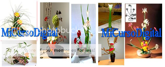 curso floristeria arreglos florales centros de mesa manualidades flores técnica ikebana