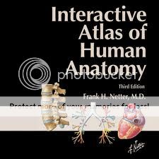 atlas cuerpo humano,anatomia
