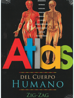 atlas del cuerpo humano, anatomia, multimedia