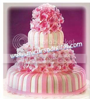 tutoriales pasteleria minitortas recetas cupcakes