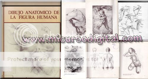 curso dibujo y anatomia video  figura humana  pdf pintura lapiz desnudos