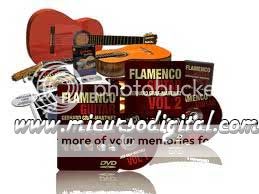 Vídeo curso guitarra flamenco flamenca acústica método tocar