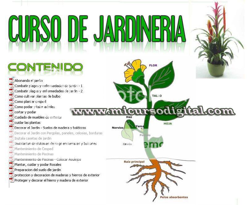 Manual Pdf jardinería bricolage hidroponia hortaliza plantas aromática