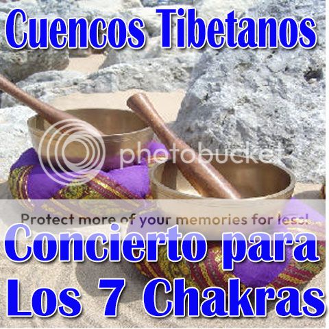 Concierto para los 7 Chakras Cuencos Tibetanos Sanación Meditación