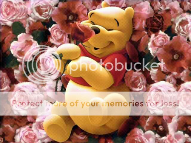 abstract_3d-and-cg_300x225_160154_-_winnie_the_pooh_on_roses